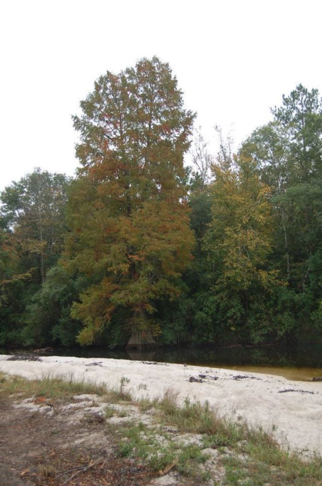 Tux Creek Inn Biloxi Buitenkant foto